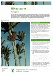 Nikau palm: conservation revealed: publications
