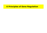 6 Principles of Gene Regulation