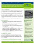 Diagnostic Application of Musculoskeletal Ultrasound
