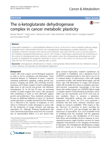 The α-ketoglutarate dehydrogenase complex in cancer metabolic