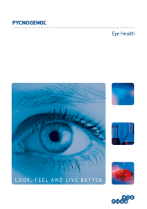 Eye Health - Pycnogenol