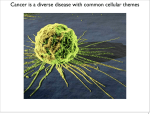 Cancer is a diverse disease with common cellular themes