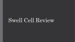 Swell Cell Review PowerPoint