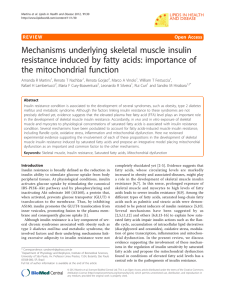 Mechanisms underlying skeletal muscle insulin resistance induced