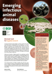 Emerging infectious animal diseases