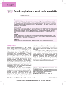 Corneal complications of vernal keratoconjunctivitis
