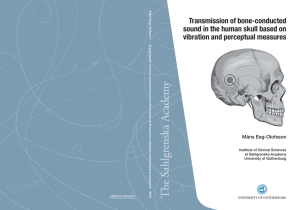 Transmission of bone-conducted sound in the human skull