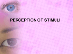 Preception of stimuli - IB