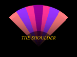 the shoulder - WordPress.com
