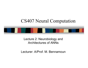 CS407 Neural Computation
