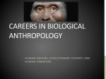 Careers in Biological Anthropology
