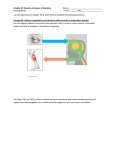 Label and discuss the significance of the Schwann cells/myelin