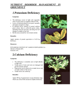 nutrient disorder management in groundnut