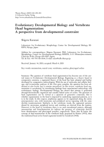 Evolutionary Developmental Biology and Vertebrate Head