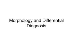 Morphology and Differential Diagnosis