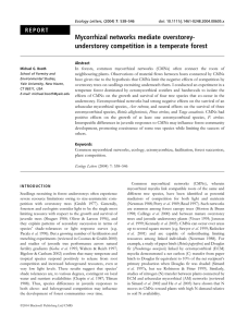 Mycorrhizal networks mediate overstorey