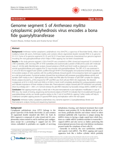 Genome segment 5 of Antheraea mylitta cytoplasmic polyhedrosis