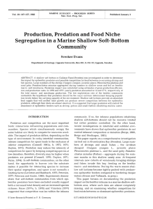 Production, Predation and Food Niche Segregation in a Marine