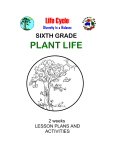 plant life - Math/Science Nucleus