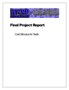 final report - Initial Set Up