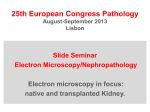 25th European Congress Pathology August