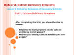 Module VI: Nutrient Deficiency Symptoms