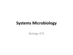 Systems Microbiology ..(Download PowerPoint)