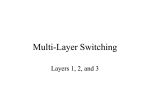 Multi-Layer Switching