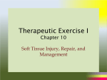 Chapter 10 - PHT 1227 Therapeutic Exercise I