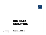 Big Data Curation