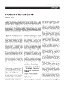 Evolution of human growth