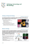 Pathology, Immunology and Microbiology