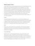 Phloem Transport in Plants