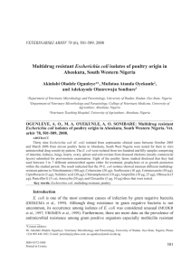 Multidrug resistant Escherichia coli isolates of poultry origin in