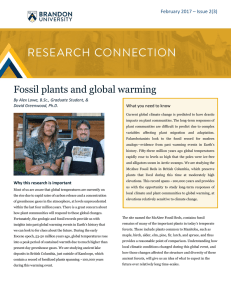 Fossil plants and global warming