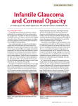 Infantile Glaucoma and Corneal Opacity