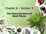 Chapter 8 * Section 3