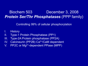 Lecture PPT (updated)