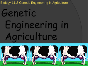 Biology 11.3 Genetic Engineering in Agriculture