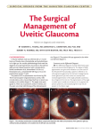 The Surgical Management of Uveitic Glaucoma