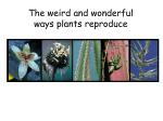 The weird and wonderful ways plants reproduce