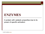 enzymes - Moodle