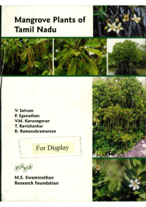 Mangrove plants of TN - MS Swaminathan Research Foundation