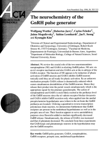 The neurochemistry of the GnRH pulse generator