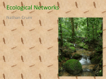 Ecological Networks - ChaosAndComplexity