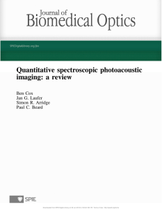 Quantitative spectroscopic photoacoustic imaging