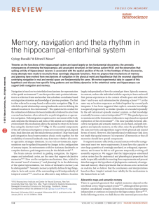 Memory, navigation and theta rhythm in the