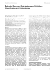 Extended Spectrum Beta-lactamases: Definition, Classification and