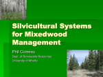 Silvicultural Systems for Mixedwood Management