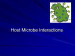 Host Microbe Interactions